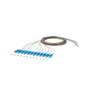 Fiber Optic Pigtail （12 fibras）