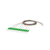 Fiber Optic Pigtail （12 fibras）