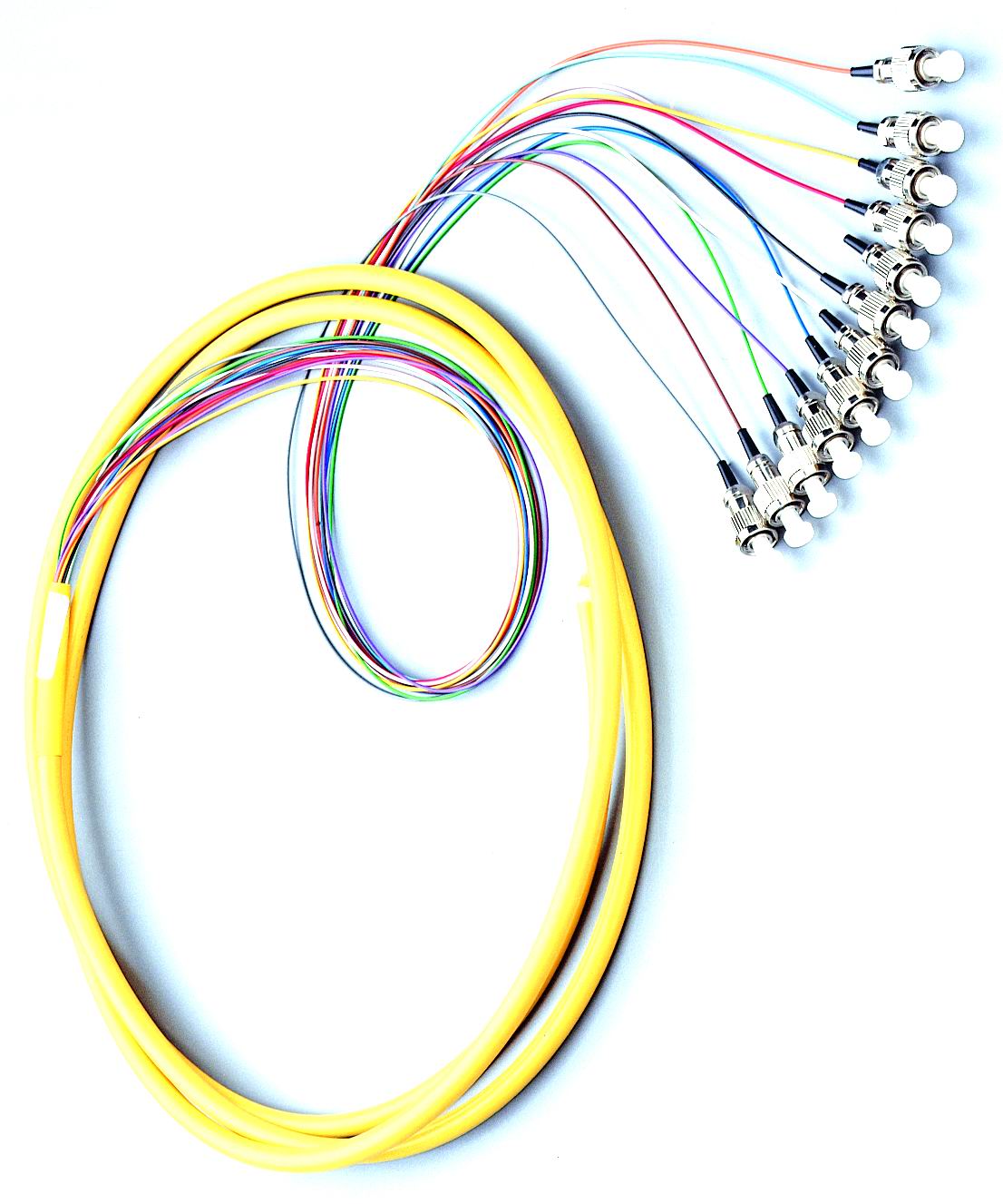Fiber Optic Pigtail （12 fibras）