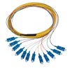 Fiber Optic Pigtail （12 fibras）