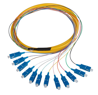 Fiber Optic Pigtail （12 fibras）